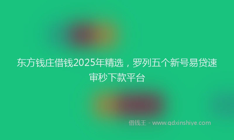 东方钱庄借钱2025年精选，罗列五个新号易贷速审秒下款平台