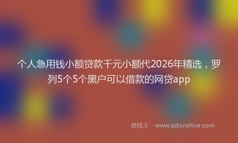 个人急用钱小额贷款千元小额代2026年精选，罗列5个5个黑户可以借款的网贷app