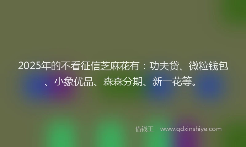 2025年的不看征信芝麻花有：功夫贷、微粒钱包、小象优品、森森分期、新一花等。