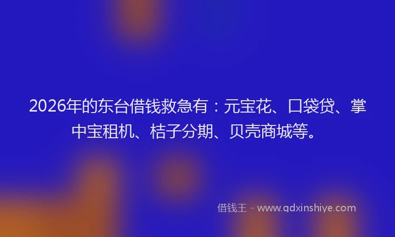 2026年的东台借钱救急有：元宝花、口袋贷、掌中宝租机、桔子分期、贝壳商城等。