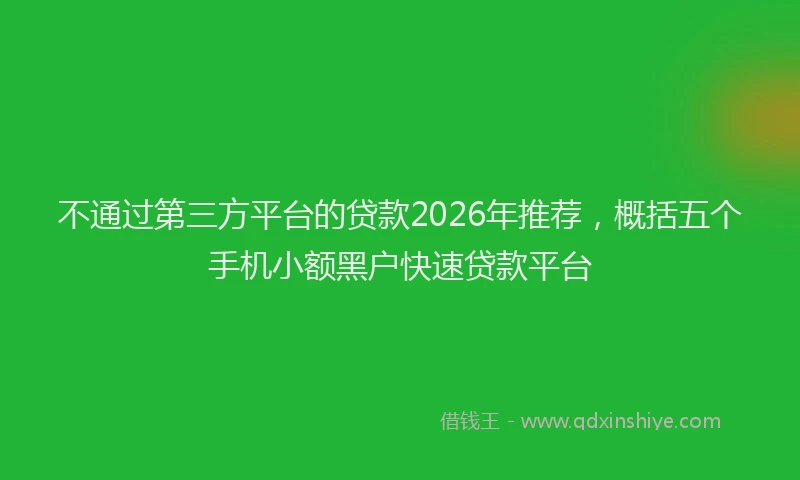 不通过第三方平台的贷款2026年推荐,概括五个手机小额黑户快速贷款平台