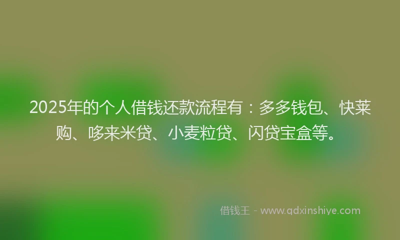 2025年的个人借钱还款流程有：多多钱包、快莱购、哆来米贷、小麦粒贷、闪贷宝盒等。