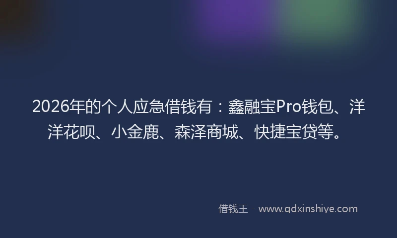 2026年的个人应急借钱有：鑫融宝Pro钱包、洋洋花呗、小金鹿、森泽商城、快捷宝贷等。