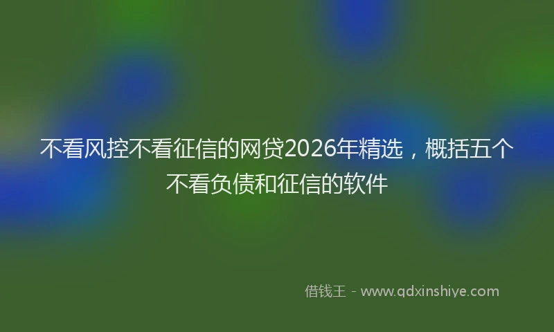 不看风控不看征信的网贷2026年精选，概括五个不看负债和征信的软件