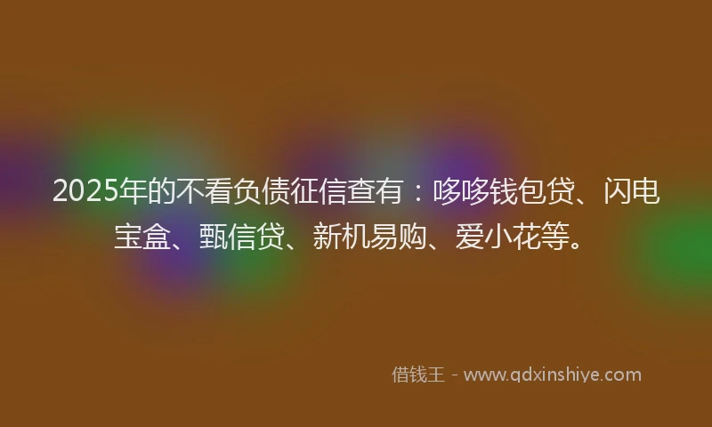 2025年的不看负债征信查有：哆哆钱包贷、闪电宝盒、甄信贷、新机易购、爱小花等。
