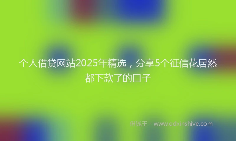 个人借贷网站2025年精选，分享5个征信花居然都下款了的口子