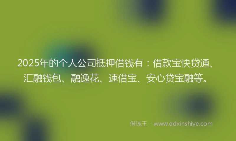 2025年的个人公司抵押借钱有：借款宝快贷通、汇融钱包、融逸花、速借宝、安心贷宝融等。