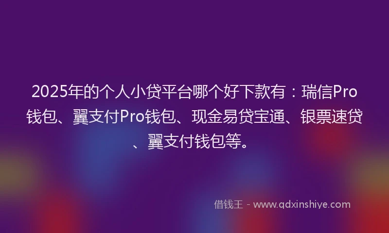 2025年的个人小贷平台哪个好下款有：瑞信Pro钱包、翼支付Pro钱包、现金易贷宝通、银票速贷、翼支付钱包等。