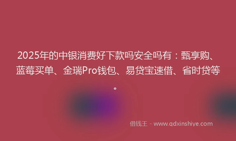 2025年的中银消费好下款吗安全吗有：甄享购、蓝莓买单、金瑞Pro钱包、易贷宝速借、省时贷等。