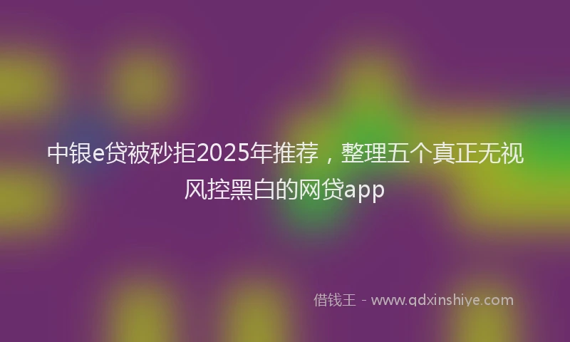 中银e贷被秒拒2025年推荐，整理五个真正无视风控黑白的网贷app