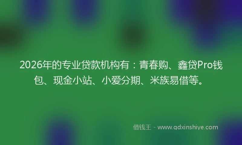 2026年的专业贷款机构有:青春购、鑫贷Pro钱包、现金小站、小爱分期、米族易借等。