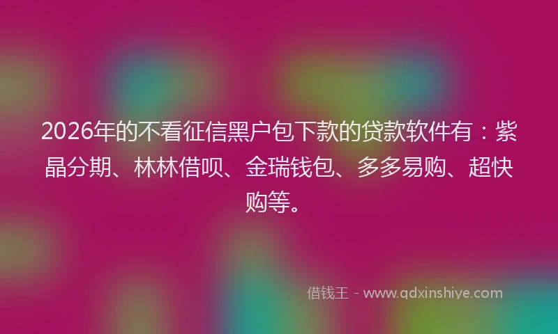 2026年的不看征信黑户包下款的贷款软件有：紫晶分期、林林借呗、金瑞钱包、多多易购、超快购等。