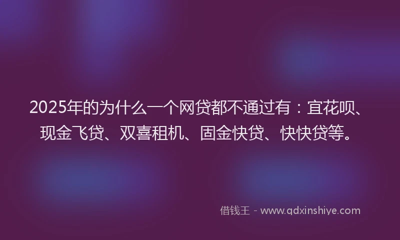 2025年的为什么一个网贷都不通过有：宜花呗、现金飞贷、双喜租机、固金快贷、快快贷等。