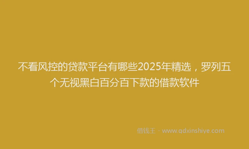 不看风控的贷款平台有哪些2025年精选，罗列五个无视黑白百分百下款的借款软件