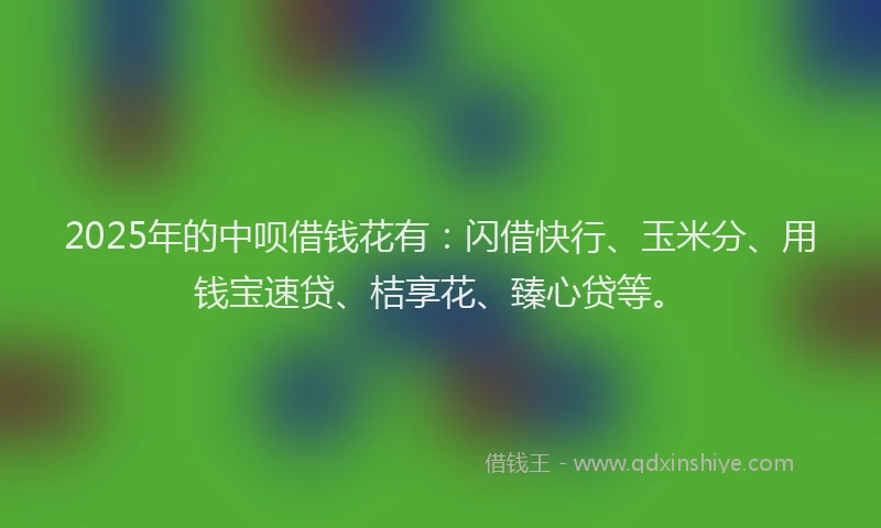 2025年的中呗借钱花有：闪借快行、玉米分、用钱宝速贷、桔享花、臻心贷等。