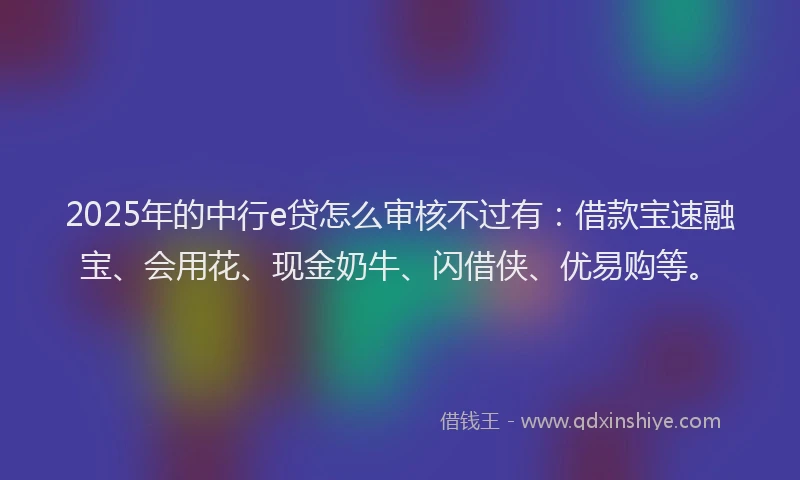 2025年的中行e贷怎么审核不过有：借款宝速融宝、会用花、现金奶牛、闪借侠、优易购等。