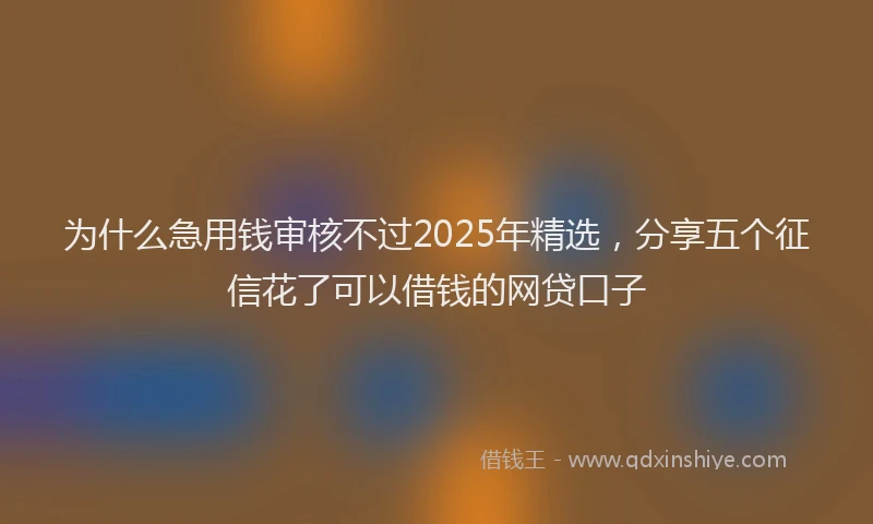 为什么急用钱审核不过2025年精选，分享五个征信花了可以借钱的网贷口子