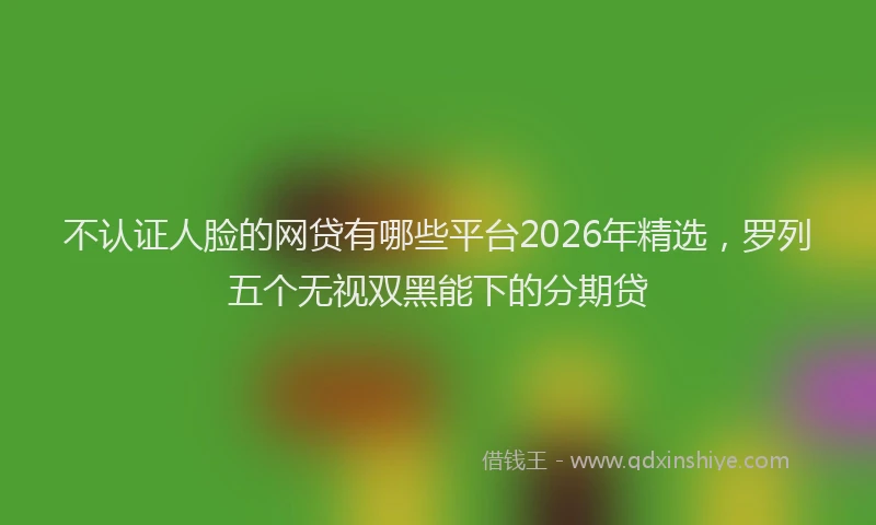 不认证人脸的网贷有哪些平台2026年精选，罗列五个无视双黑能下的分期贷