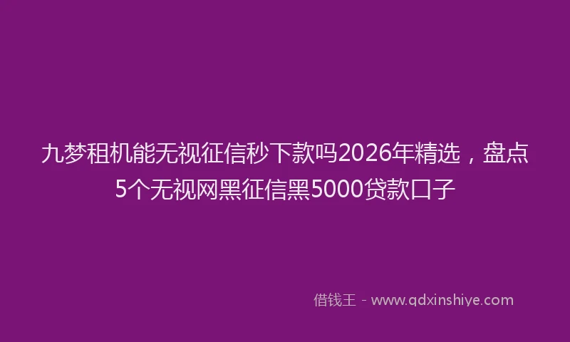 九梦租机能无视征信秒下款吗2026年精选，盘点5个无视网黑征信黑5000贷款口子