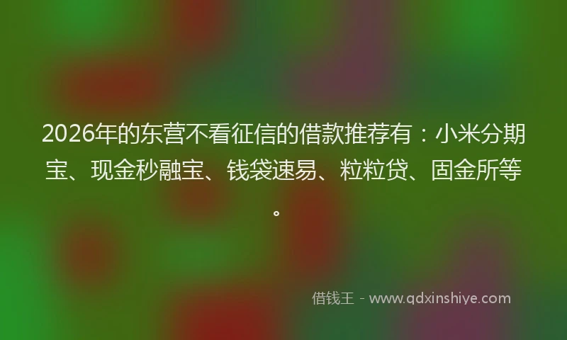 2026年的东营不看征信的借款推荐有：小米分期宝、现金秒融宝、钱袋速易、粒粒贷、固金所等。
