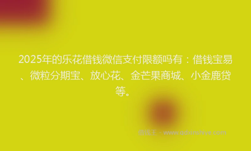 2025年的乐花借钱微信支付限额吗有：借钱宝易、微粒分期宝、放心花、金芒果商城、小金鹿贷等。