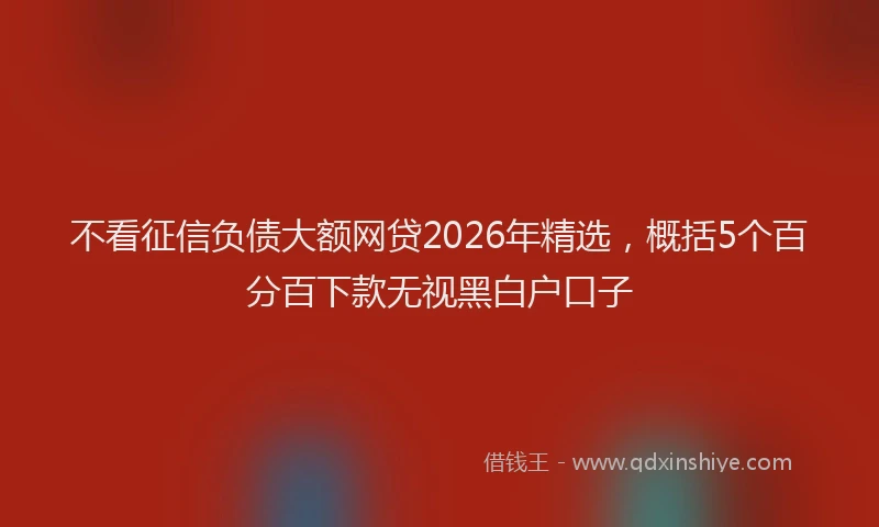 不看征信负债大额网贷2026年精选,概括5个百分百下款无视黑白户口子