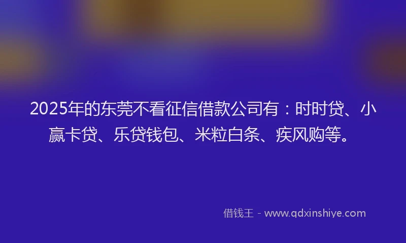 2025年的东莞不看征信借款公司有：时时贷、小赢卡贷、乐贷钱包、米粒白条、疾风购等。