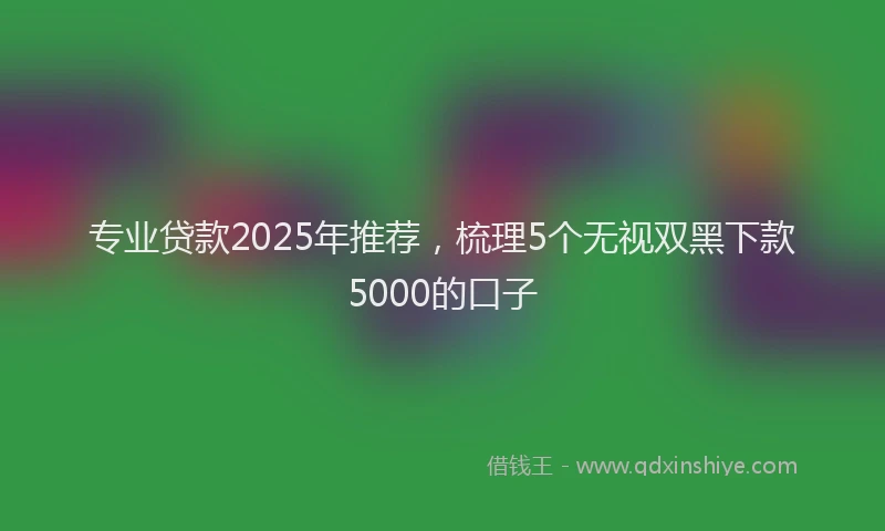 专业贷款2025年推荐，梳理5个无视双黑下款5000的口子