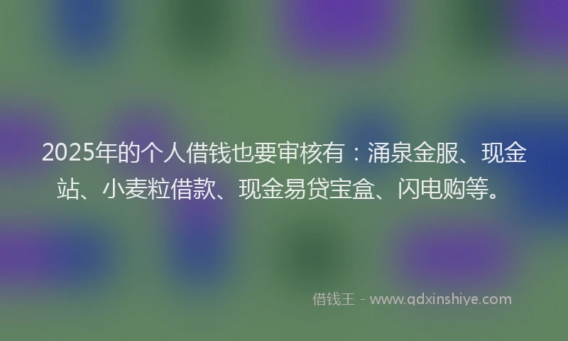 2025年的个人借钱也要审核有:涌泉金服、现金站、小麦粒借款、现金易贷宝盒、闪电购等。