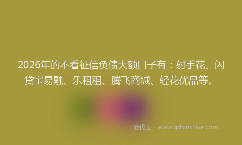 2026年的不看征信负债大额口子有:射手花、闪贷宝易融、乐租租、腾飞商城、轻花优品等。