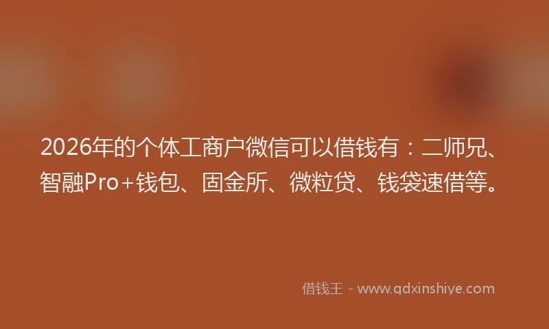 2026年的个体工商户微信可以借钱有：二师兄、智融Pro+钱包、固金所、微粒贷、钱袋速借等。