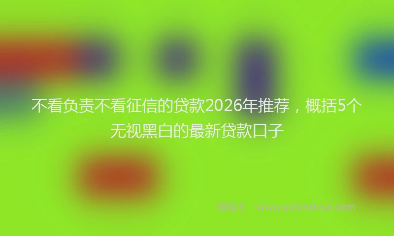 不看负责不看征信的贷款2026年推荐，概括5个无视黑白的最新贷款口子