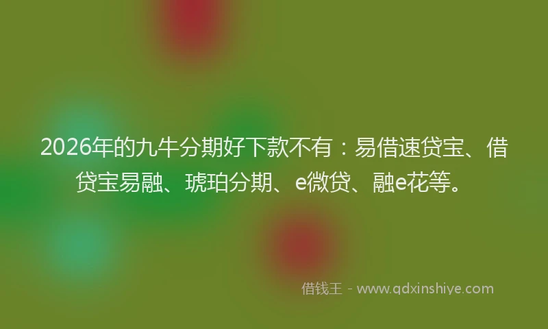 2026年的九牛分期好下款不有：易借速贷宝、借贷宝易融、琥珀分期、e微贷、融e花等。