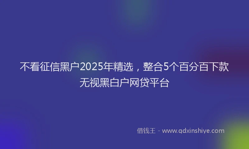 不看征信黑户2025年精选,整合5个百分百下款无视黑白户网贷平台