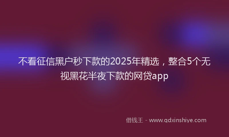 不看征信黑户秒下款的2025年精选,整合5个无视黑花半夜下款的网贷app