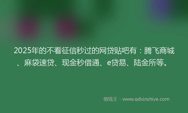 2025年的不看征信秒过的网贷贴吧有：腾飞商城、麻袋速贷、现金秒借通、e贷易、陆金所等。