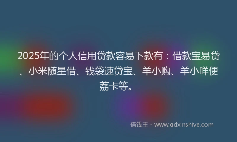 2025年的个人信用贷款容易下款有：借款宝易贷、小米随星借、钱袋速贷宝、羊小购、羊小咩便荔卡等。