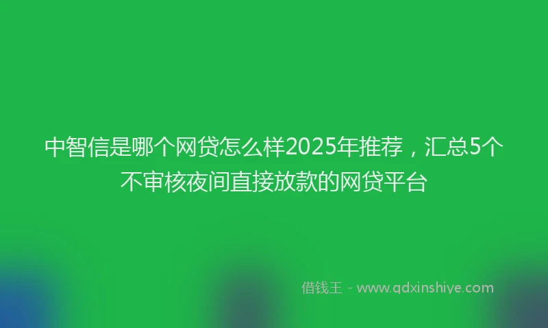 中智信是哪个网贷怎么样2025年推荐，汇总5个不审核夜间直接放款的网贷平台