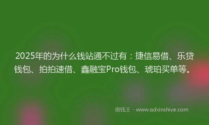 2025年的为什么钱站通不过有：捷信易借、乐贷钱包、拍拍速借、鑫融宝Pro钱包、琥珀买单等。
