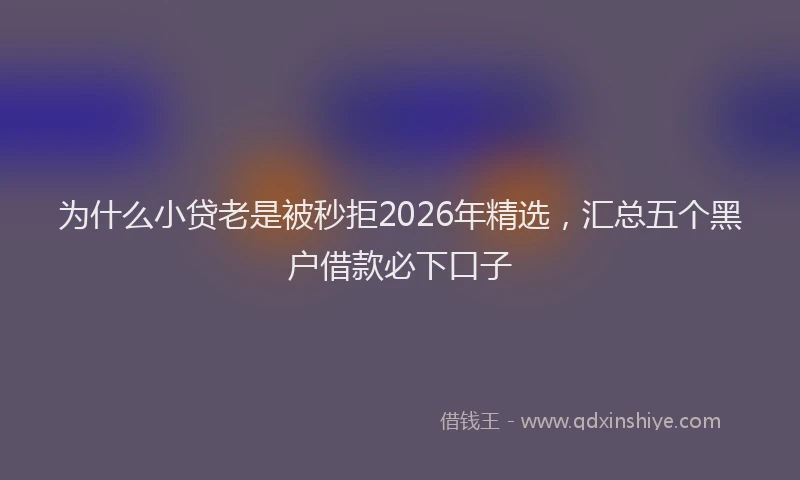 为什么小贷老是被秒拒2026年精选，汇总五个黑户借款必下口子