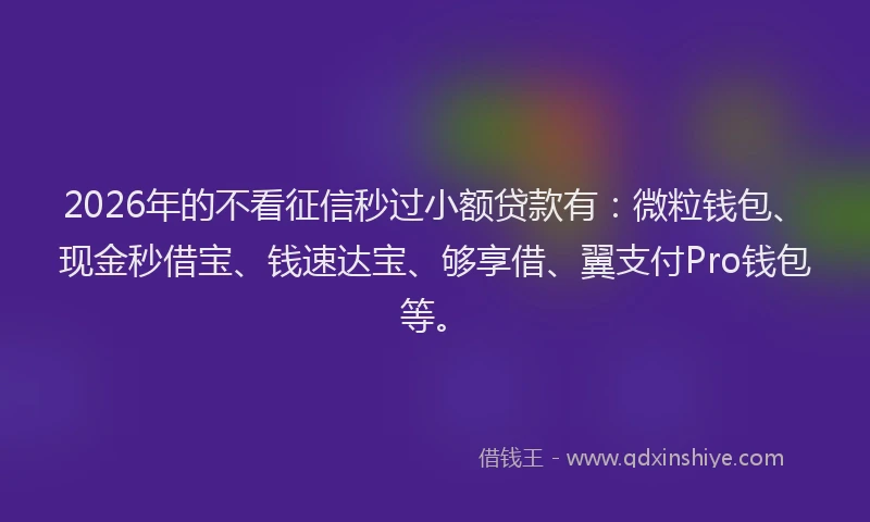 2026年的不看征信秒过小额贷款有：微粒钱包、现金秒借宝、钱速达宝、够享借、翼支付Pro钱包等。