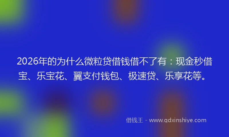 2026年的为什么微粒贷借钱借不了有：现金秒借宝、乐宝花、翼支付钱包、极速贷、乐享花等。