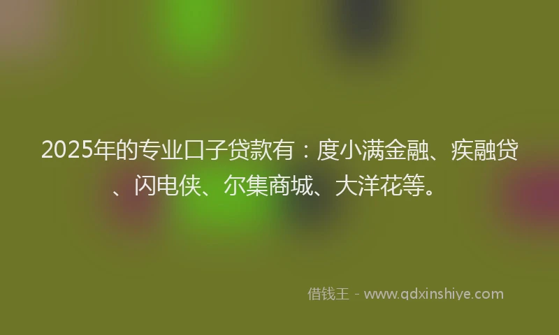 2025年的专业口子贷款有:度小满金融、疾融贷、闪电侠、尔集商城、大洋花等。