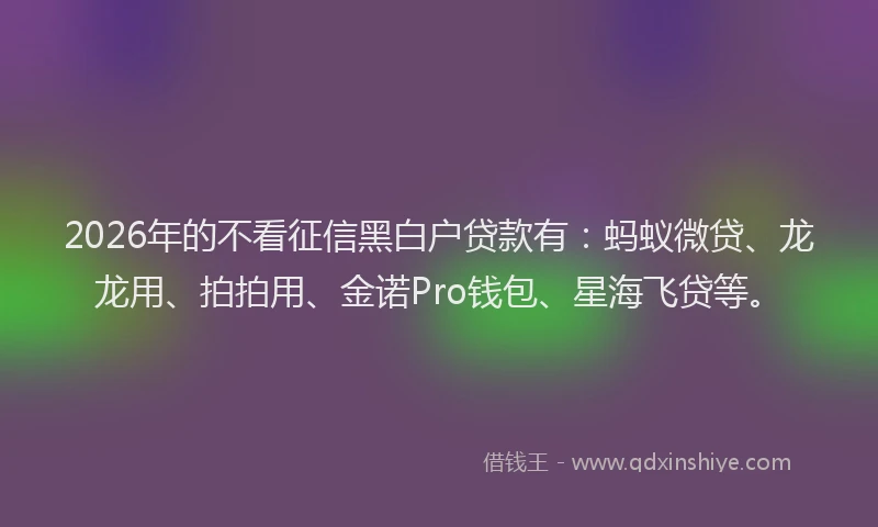 2026年的不看征信黑白户贷款有：蚂蚁微贷、龙龙用、拍拍用、金诺Pro钱包、星海飞贷等。