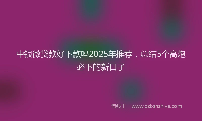 中银微贷款好下款吗2025年推荐,总结5个高炮必下的新口子