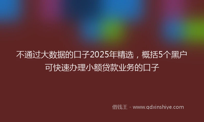 不通过大数据的口子2025年精选，概括5个黑户可快速办理小额贷款业务的口子