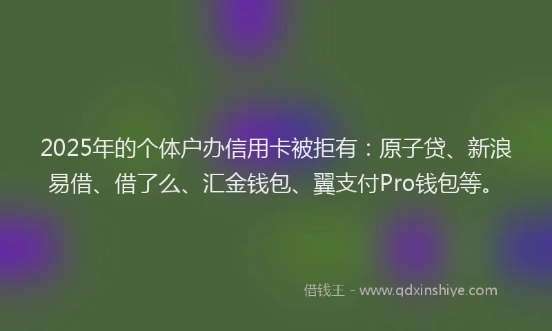 2025年的个体户办信用卡被拒有：原子贷、新浪易借、借了么、汇金钱包、翼支付Pro钱包等。