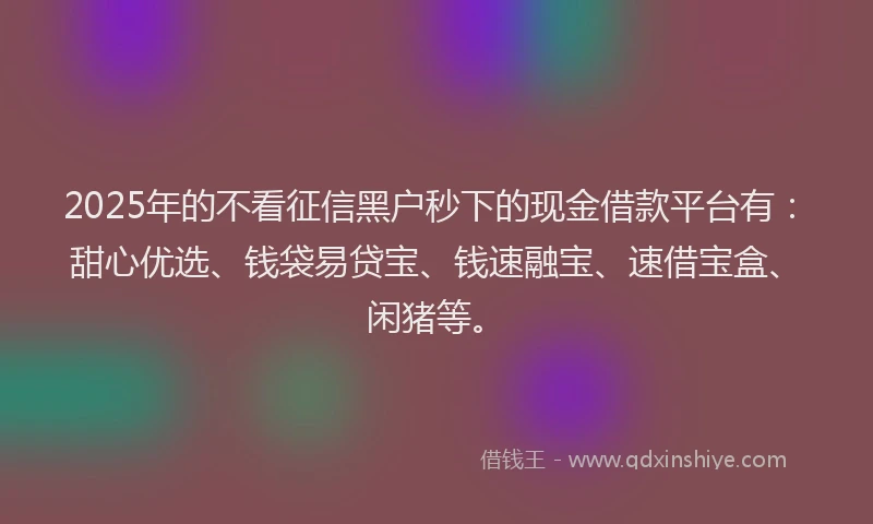 2025年的不看征信黑户秒下的现金借款平台有:甜心优选、钱袋易贷宝、钱速融宝、速借宝盒、闲猪等。