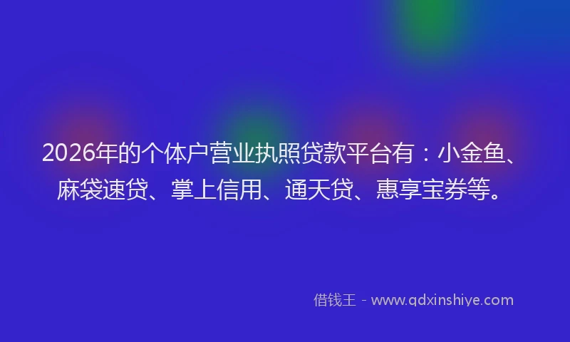 2026年的个体户营业执照贷款平台有：小金鱼、麻袋速贷、掌上信用、通天贷、惠享宝券等。