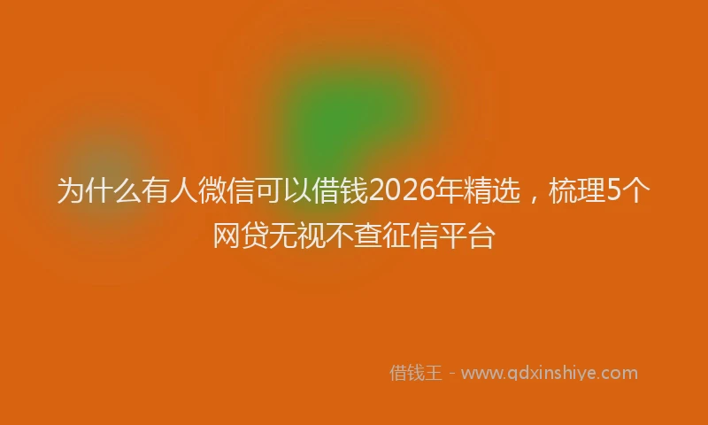 为什么有人微信可以借钱2026年精选，梳理5个网贷无视不查征信平台